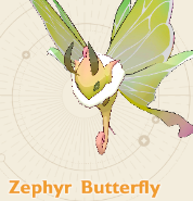 Butterfly