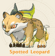 Leopard