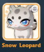 Snow Leopard