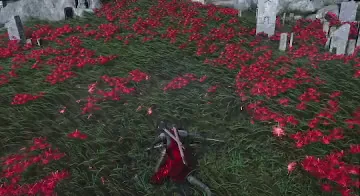 Dual Blades - Conversion preview