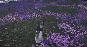 Jadewind Shield preview