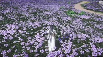 Emerald Dewtouch preview