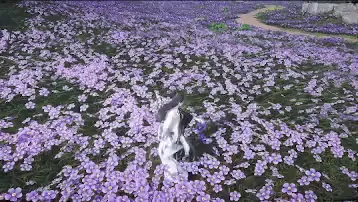 Fan - Conversion preview