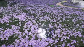 Light Dust After Morning Rain preview