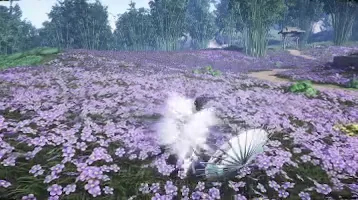 Echoes of a Thousand Plants preview