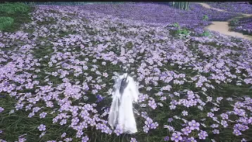 Umbrella - Conversion preview