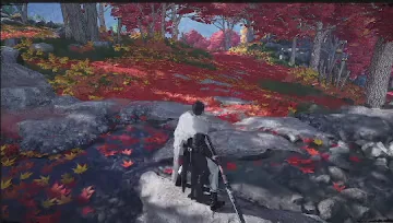 Predator's Shield preview