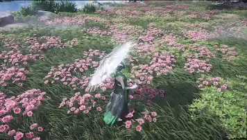 Apricot heaven preview