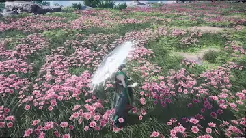 [Varied] Colorful Phoenix preview