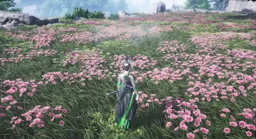 Umbrella - Conversion preview